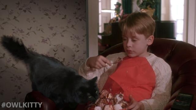 Home Alone with My Cat (OwlKitty Parody)