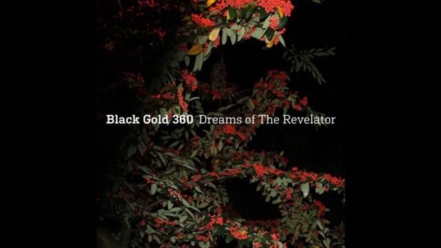 Black Gold 360 - Seven Layers of Oak (2021)