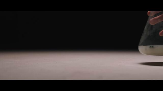 Cobra The Impaler  - Spirit Of Lyssa (Official Video)