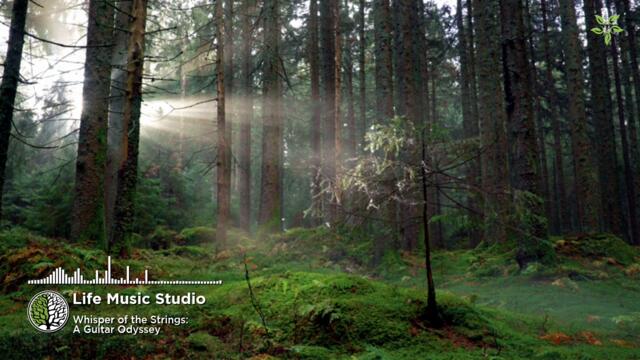 Life Music Studio - Whisper of the Strings: A Guitar Odyssey