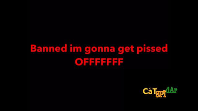CatSpidar- Social media is bad (lyric video)
