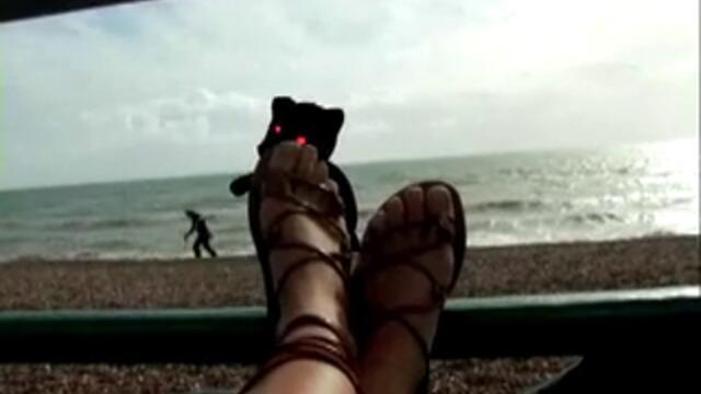 Airside-_MTV_Mobile_Idents_-_Static_Bear[via_torchbrowser.com]