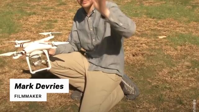 Filmmaker Investigates Factory Farming Using Drones