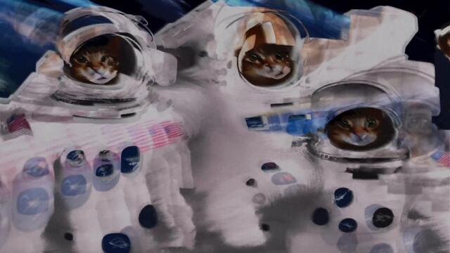 PeaceSentry - Brainwave Shuffle