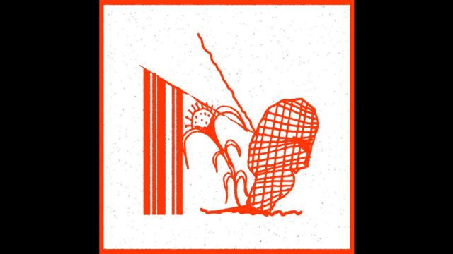 Bubble Wrap Trap - flamboyant cousin (2023)