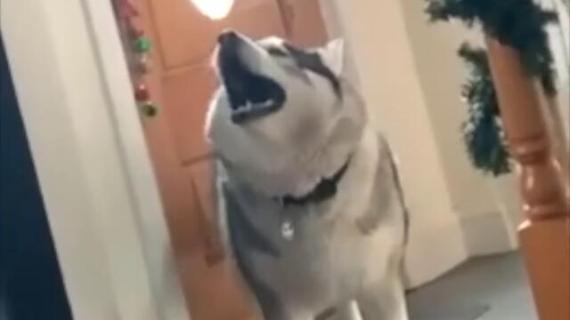 The Prodoggy | SMACK MY B17CH UP