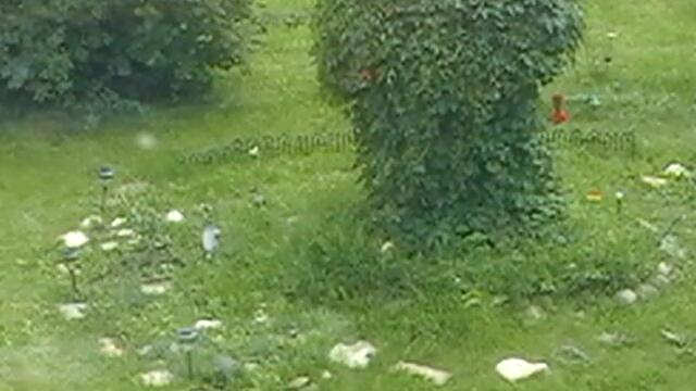 Full Moon Visualization 🌕- Walking Through Fear Into Love ❤️ | Level Up With The Collective 🎉💥