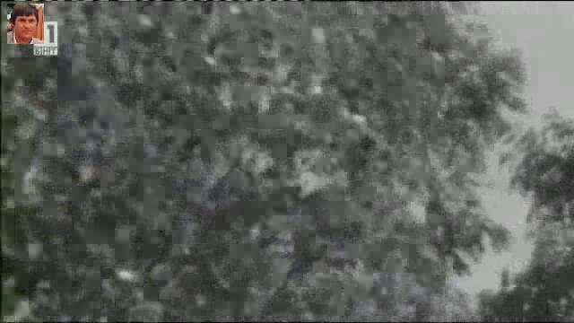 Маргарита Хранова feat. Трио Обектив (1972) - Младост
