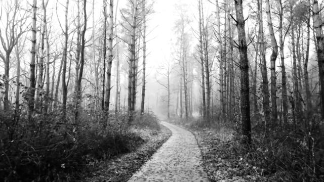 Tir Threads of Time [Official Lyric Video]  #awaitingthedawn #darkfolk  #dungeonsynth  #track6