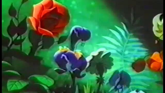 Alice In Wonderland Part 2