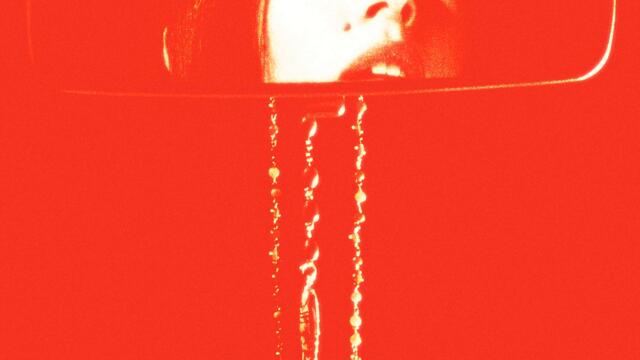 Bunny Is A Rider (Nikki Nair 'Satellite' Remix)