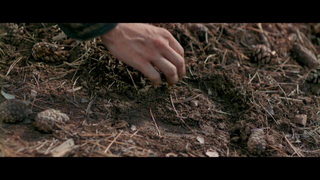 ЧУМА - официален тийзър