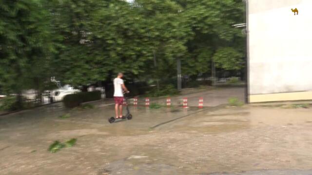 Буря изкорени 70-годишен бор