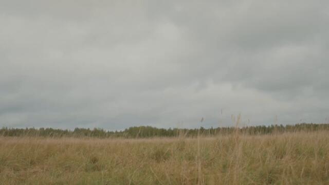 Fair Them Hills - Stevie O’Connor ( Official Music Video)