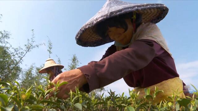 How Taiwan is facing China's threat to its democracy