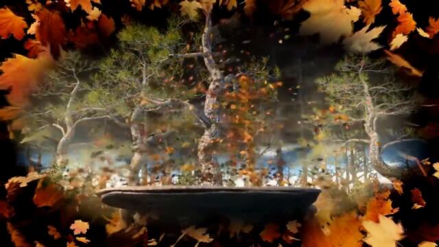 Невероятно красивая  осенняя мелодия! Сергей Чекалин - Осень!