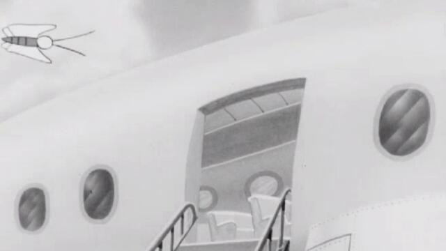 bandicam 2023-05-19 11-34-13-988