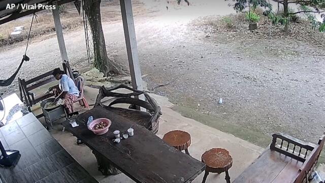 Huge king cobra snake attacks woman while she cooks dinner in Thailand