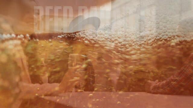 Brew Masters Organic: The Ultimate Organic Beer