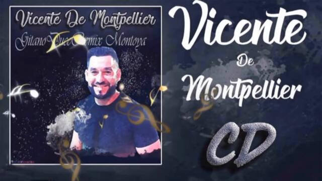 vicente montpelier #bulerias #flamenco #gipsy #song #music #folk #rosalia #chile #musica #francia