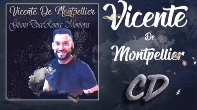 vicente #flamenco #bulerias #gipsy #music #musica #song #songs #gitanos #francia #folk #latino