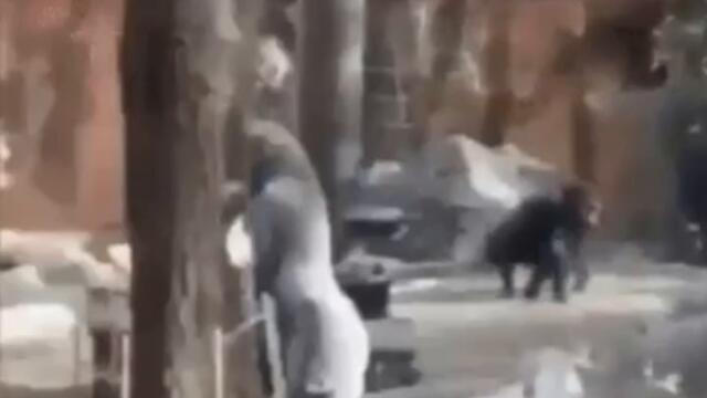 Животные Как мило видео смотреть онлайн бесплатно