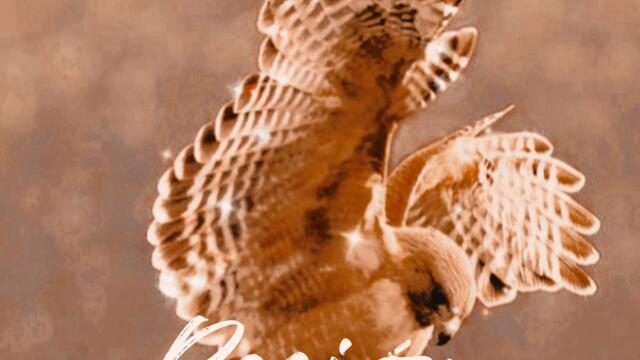 Rosario Montes - Fiera Inquieta (Audio)