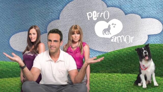 Sofia y Antonio - Este amor me esta matando / Perro Amor l Andres de Leon