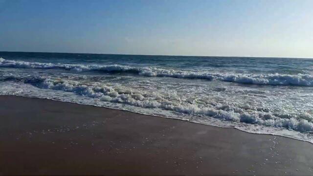 sea side Top Beaches in the world | sea view beach | Pair of Monster Cobias