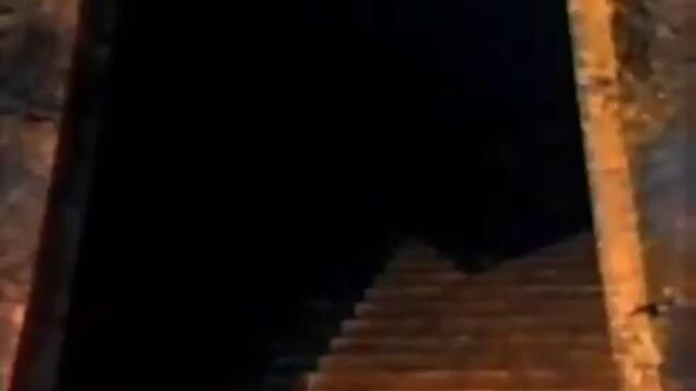 Mtv Id Templevia torchbrowser.com - Vbox7[via torchbrowser.com]