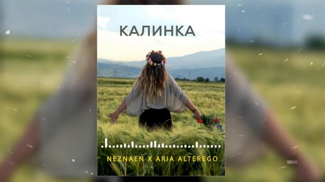 Neznaen x Aria AlterEgo  - Kalinka [Калинка]