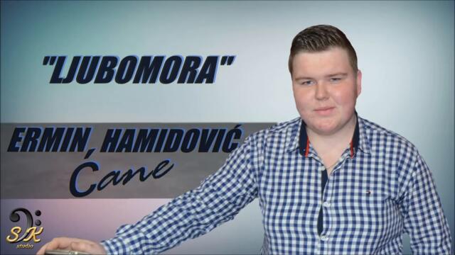 Ermin Hamidovic-Ljubomora_2016