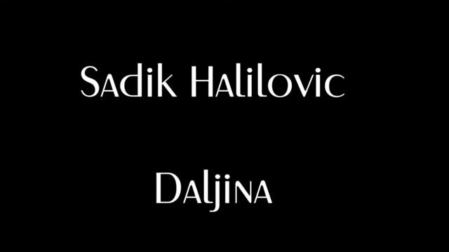 Sadik Halilovic-Daljina_2008