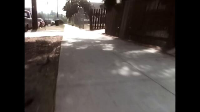 The Presidents of the United States of America - Kitty (Official Music Video)