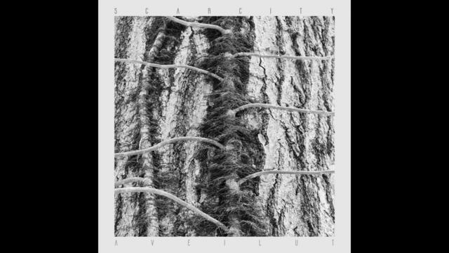 Scarcity - Aveilut