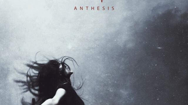 Anthesis
