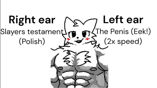Right ear The Slayers testament (Polish), Left ear The Penis (Eek!) (2x speed)