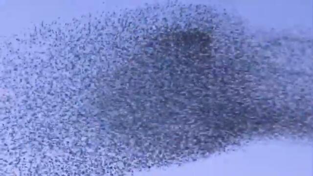 "Outbreak" prod. M.B.