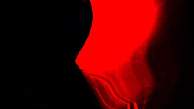 Poltergeist - House Of Mirrors