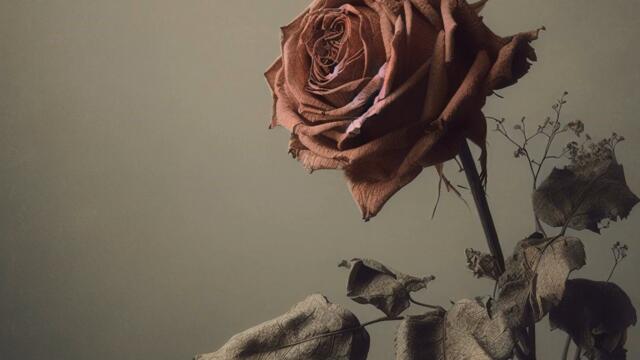 Hating The Way I Love You