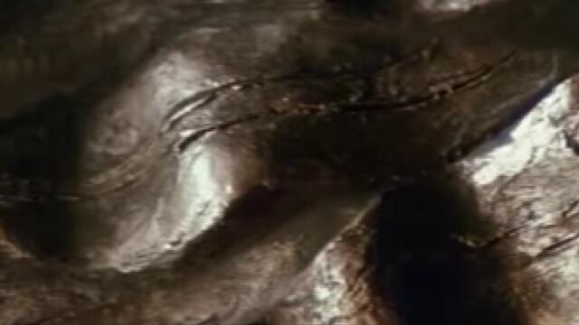 bandicam 2022-02-14 18-43-29-182