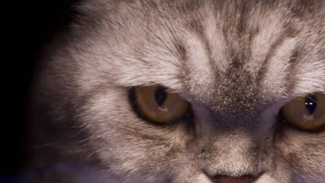 bandicam 2023-09-26 18-41-31-487