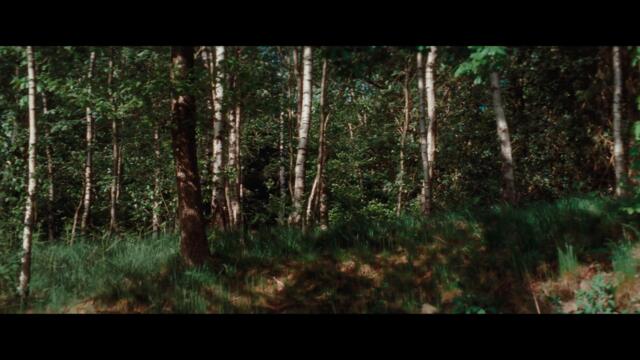 CUCKOO - Official Trailer