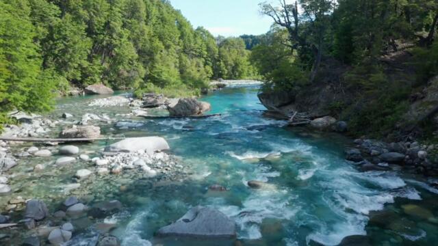 La Forasteria - Que Maravilla La Vida & remix:  Homemade with nature videos, mostly from Argentina.