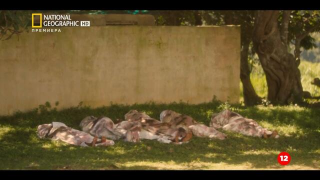 Hot Zone ebola season 1 / Гореща зона Ебола епизод 4 бг аудио