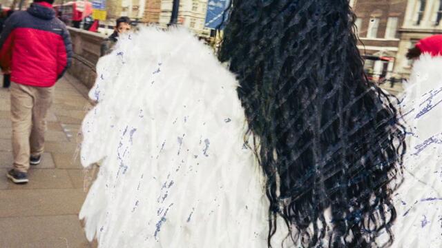 Fräulein - Pruning (Official Video)