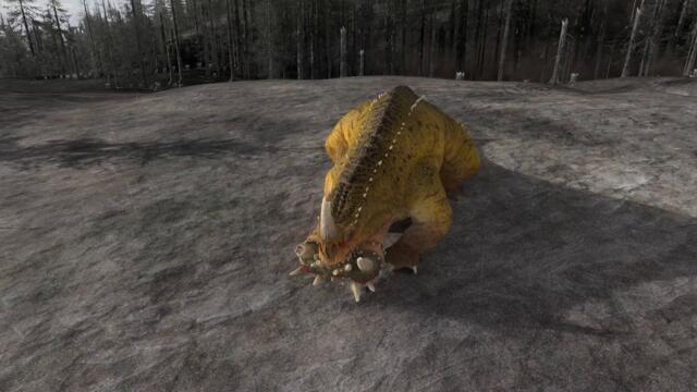 Toad Dragons Idle Animations are Sick