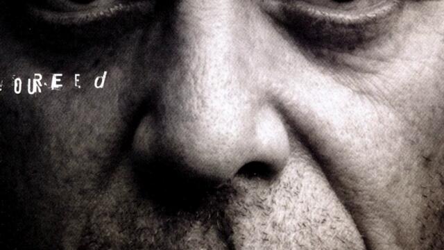 I'll Be Your Mirror (Live)