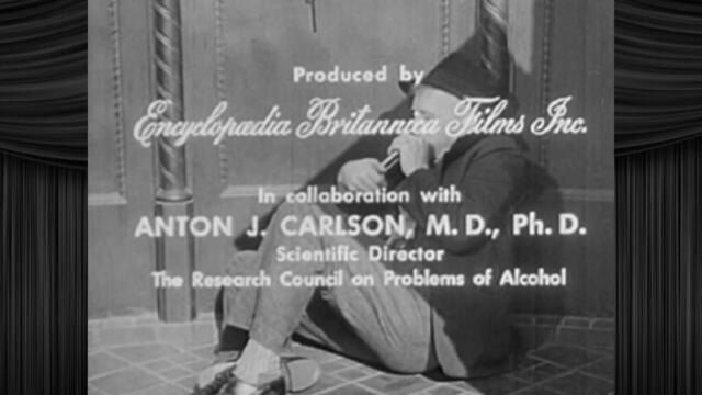 Fun With Shorts: Alcohol and the Human Body (Part 1)