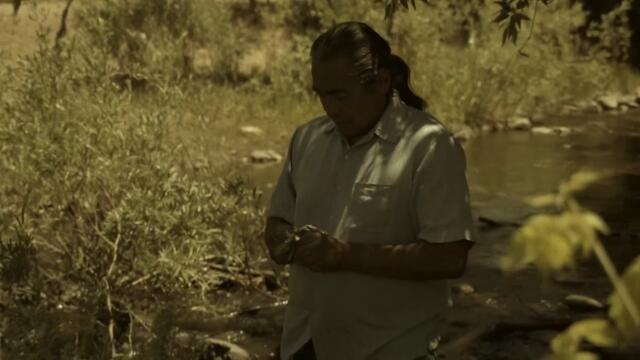 Creedence Clearwater Revival - Fortunate Son (Official Music Video)